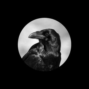 亚洲AV激情无码专区在线下载
